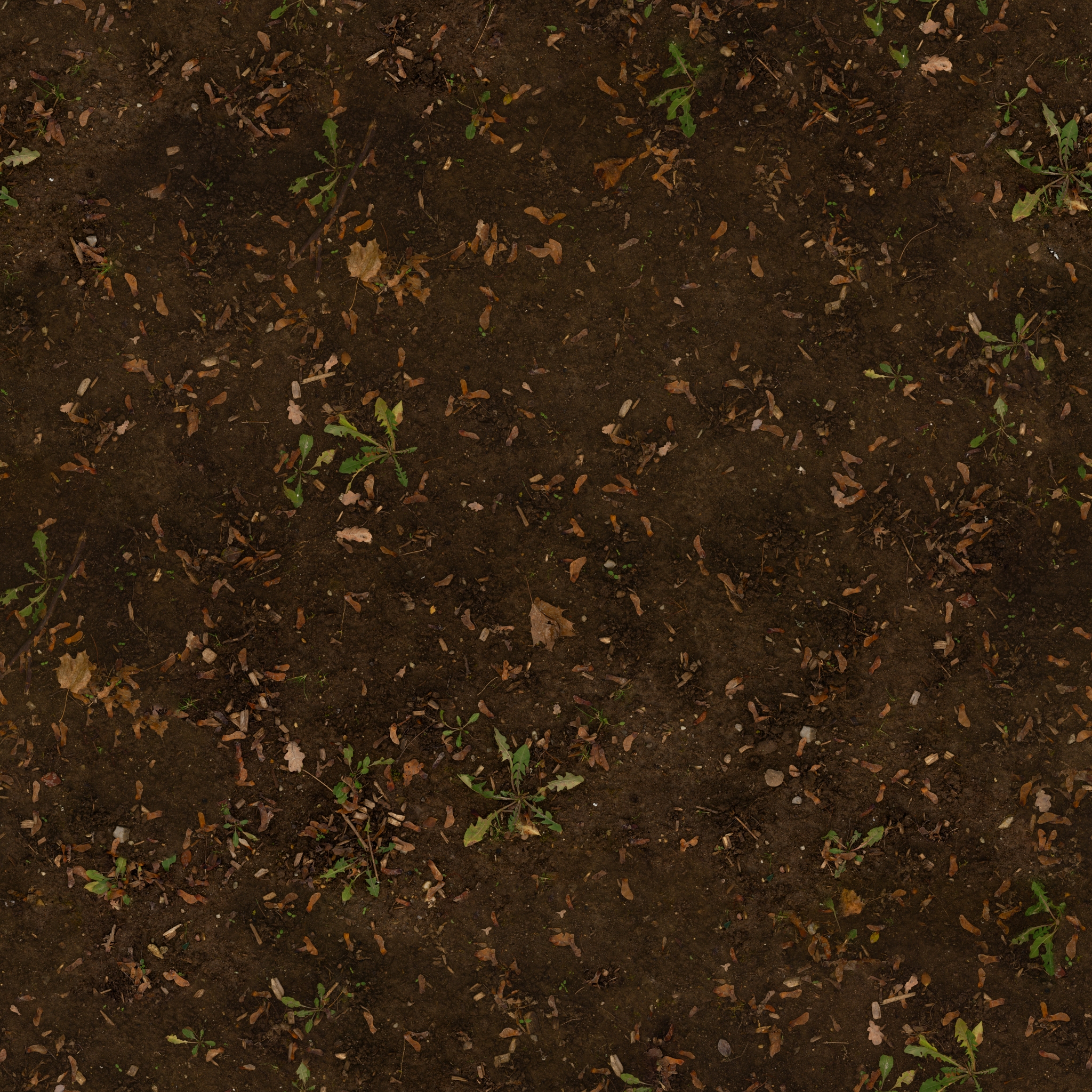 textures/ground/polyhaven-mud_forest